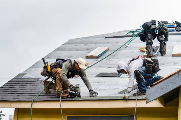 Professional Roofing technician working in Byron, IL
